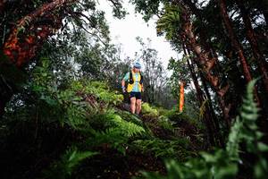 BIB: 
                            <button type="button" onclick="openModal(26205552)" class="btn btn-primary btn-sm float-right btn-popup" data-toggle="modal" data-target=".modal-high-quality">
                        <i class="fas fa-shopping-cart"></i> Add to Cart
                    </button>
                                            <button type="button" onclick="isThisMe(26205552, true)" class="btn btn-success btn-sm float-right btn-popup btn-isme hidden" data-toggle="tooltip" data-placement="bottom" title="นี่คือรูปของคุณใช่ไหม คลิกที่นี่เพื่อเอาเข้าอัลบั้ม">
                        <i class="fas fa-plus"></i> Add to album
                    </button>
                    <button type="button" onclick="isThisMe(26205552, false)" class="btn btn-warning btn-sm float-right btn-popup btn-isnotme hidden">
                        <i class="fas fa-ban"></i> Remove from album
                    </button>